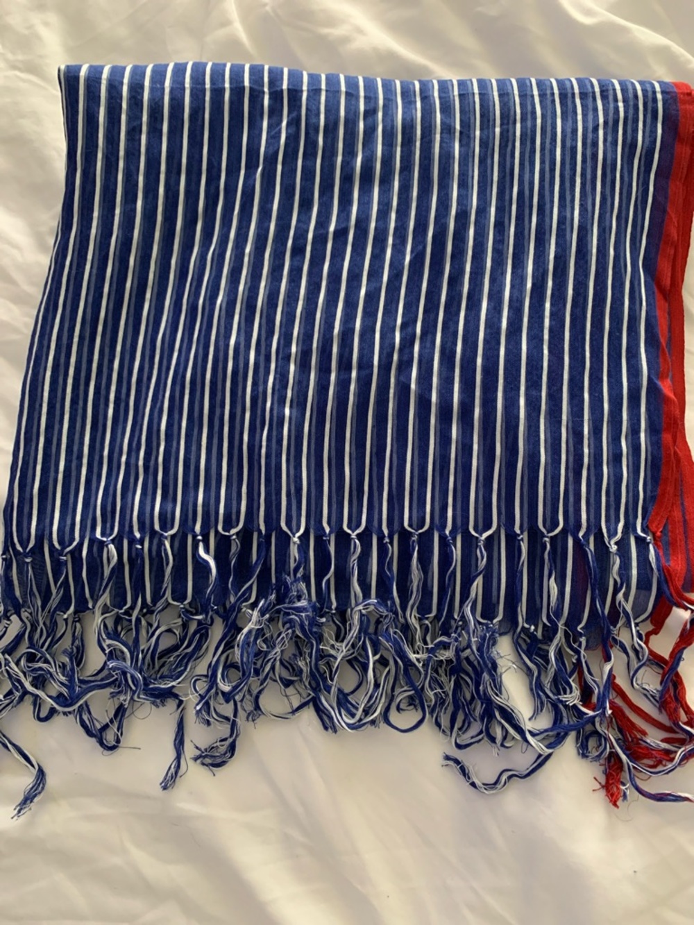 Striped Blue and White Fringe Scarf with Red Edge